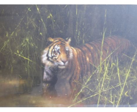 David Shepherd, a limited edition print, entitled 'Into the sunlight, there came a Tiger', 174/950, signed lower right, appro