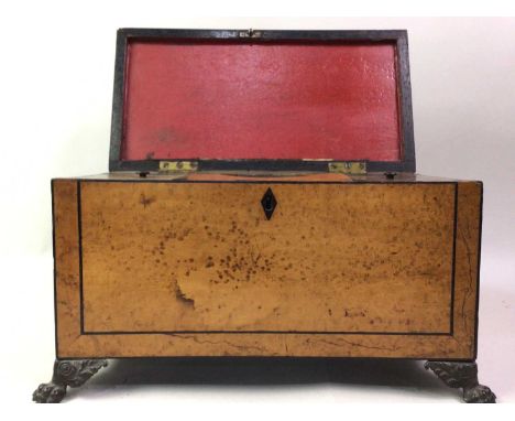 BURR MAPLE TEA CADDY, 19TH CENTURY with lidded compartments, on claw feet18cm x 34cm 