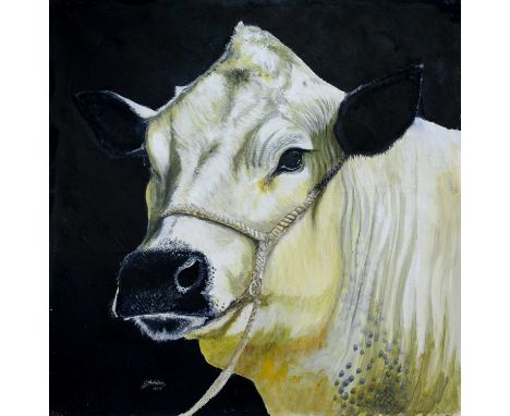 CLIVE FREDRIKSSON, PORTRAIT OF A COW oil on canvas, signed 'C Fredriksson' and dated 2016unframedoverall size 125cm x 125cm 