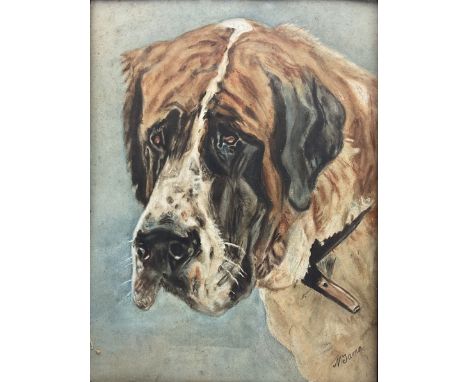 N Jame (British 20th century): Portrait of a St Bernard, watercolour signed 40cm x 29cm