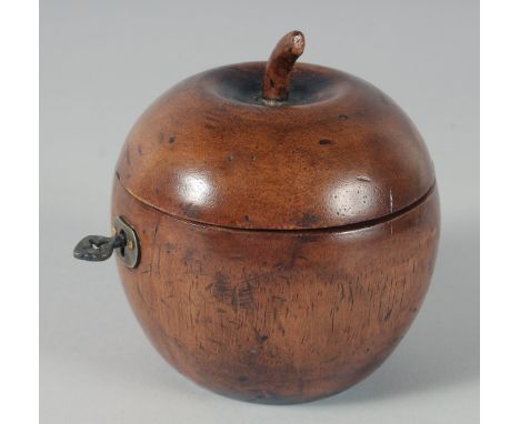 A GOOD APPLE WOOD TEA CADDY, 10 cm.