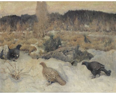 Mauritz Drougge (Norwegian, 1874-1949)Black Grouse at the lek; Ptarmigan in autumn, a pair both signed 'Drougge' (lower right