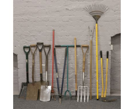 A collection of gardening tools.