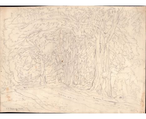 L S Lowry mounted 1950 pencil sketch of a forest / woodland - 28cm x 37.8cm ~ Laurence Stephen Lowry (1887–1976) 