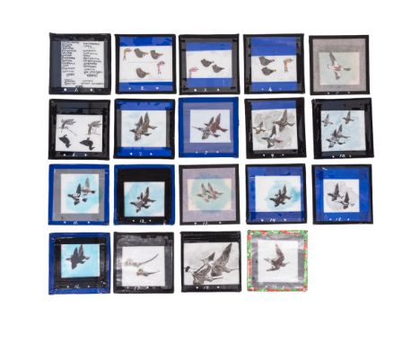 A set of hand-painted instructional ornithological magic lantern glass slides