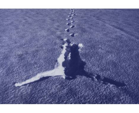 δ Antony Gormley (b.1950) Snowfall  Offset lithograph printed in colours, 2002, signed and dated in black felt tip pen, numbe