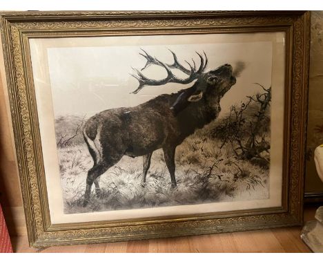 A framed sketch of a Highland Stag