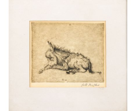 Richter, Erick (Berlin, Plön 1889-1981) Fünf Tierdarstellungen  Liegendes Eseljunges. Schafskopf. Schweinekopf. Kauerndes Sch