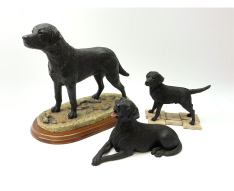 Two Border Fine Arts models, the first example a black Labrador, by Margaret Turner, upon oval wooden base, the second exampl