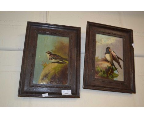 Pair of bird studies, oil on panel, framed