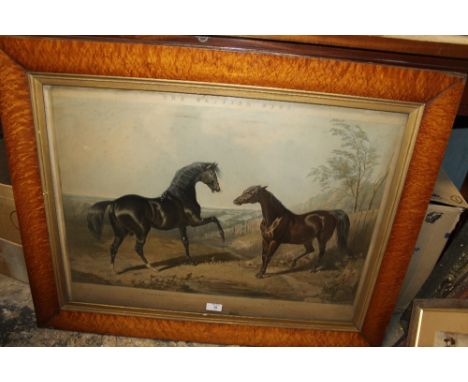 AFTER JOHN F. HERRING SNR (1795 - 1865). 'The British stud - depicting two stallions Camel & Banter', lithograph in colours, 