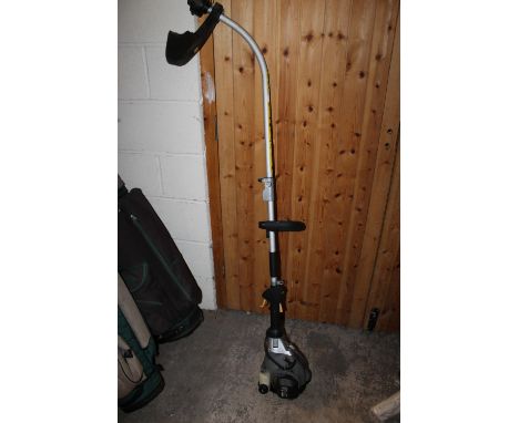 A PETROL TITAN MULTI TOOL INCLUDING STRIMMER ATTACHMENT