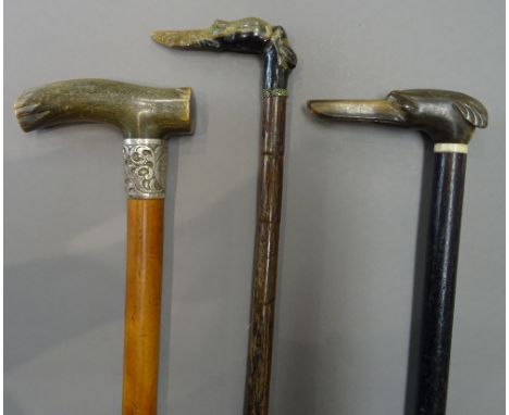 Two early 20th century horn mounted 'dog's head' walking sticks, one with a later shagreen collar (91cm) and one further horn