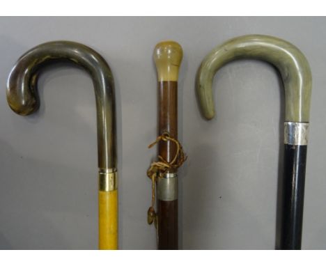 Two early 20th century, umbrella gadget cane walking sticks, each with horn handles (89cm) and a horn handled ebonised stick 