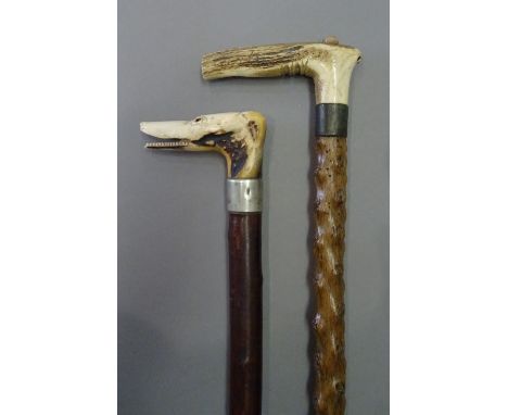 A Victorian horn 'dog's head' walking stick, with inset glass eyes and white metal collar (85.5cm) and a Victorian gadget wal