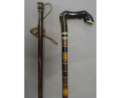 A Victorian specimen wood walking stick, with horn 'horses hoof' handle (90.5cm) and a Macassar ebony and horn mounted lady's