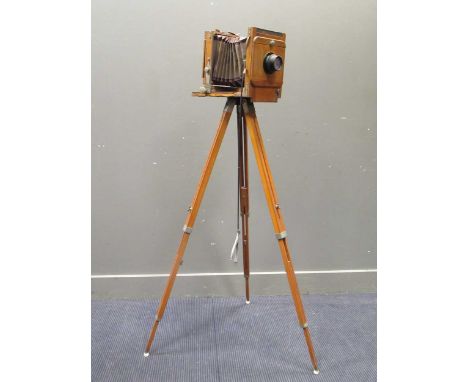 A bellows plate camera on a tripod (part) 155cm high