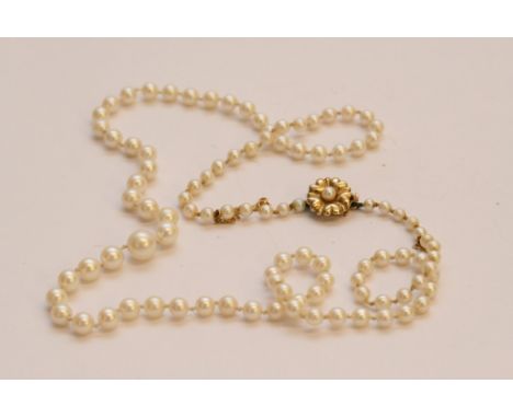 A single strand graduating cultured pearl necklace with gold clasp