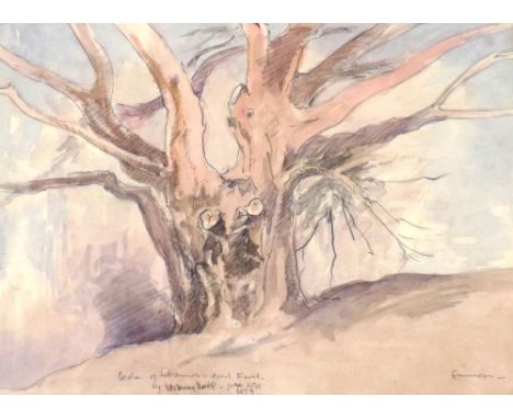 Eric Ennion (1900-1981) - 'Cedar of Lebanon = dead Trunk', signed, titled and dated 1979 in pencil, watercolour, 10.5" x 13.5