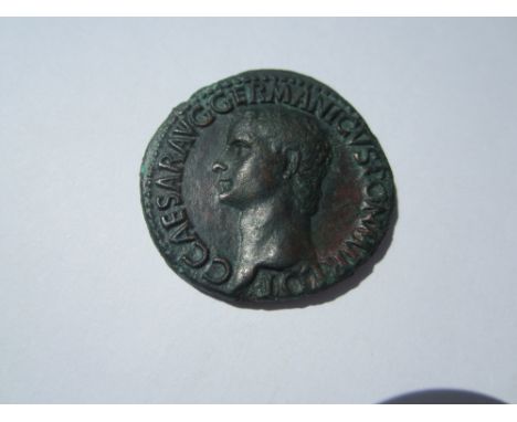 Caligula AD 37-41,Ae As. O. Bare hed l, R.Vesta seated l, holding patera and sceptre. RCV 1803.  Good very fine, slight smoot