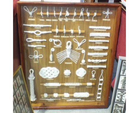 A selection of sailors knots mounted in a glazed display case, 79 x 62.5cm, a small collection of cigarette cards, (two sets 