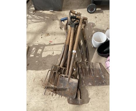 AN ASSORTMENT OF VINTAGE GARDEN TOOLS TO INCLUDE SHOVELS, SPADES AND FORKS ETC 