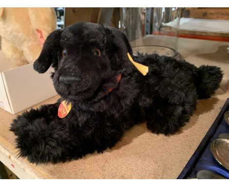 A STEIFF HASSAN BLACK LABRADOR WITH EAR STUD 