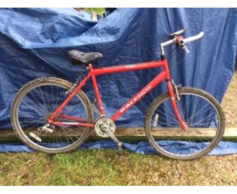 Raleigh Auctions Prices Raleigh Guide Prices