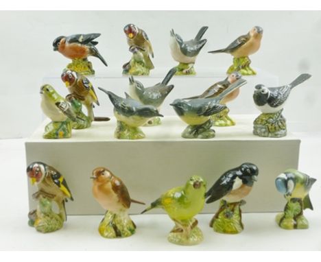 A COLLECTION OF SIXTEEN BESWICK CERAMIC BRITISH BIRD MODELS including Grey Wagtail, Pied Wagtail etc. 