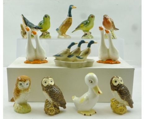 A COLLECTION OF TWELVE BESWICK CERAMIC BIRD MODELS including owls and geese 