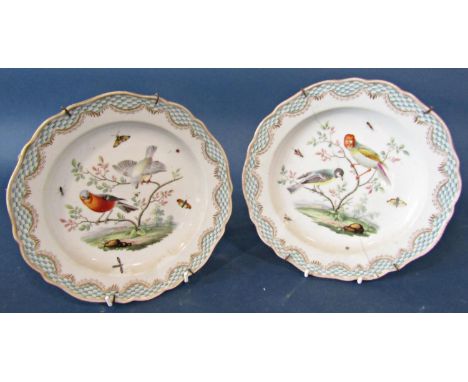 A set of five 19th century Meissen dessert plates, each with an individual hand painted ornithological panel depicting two bi