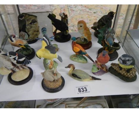 A mixed lot of bird figures including Royal Worcester, Border Fine Arts, Country Arts etc.,