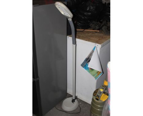 An angle poise lamp