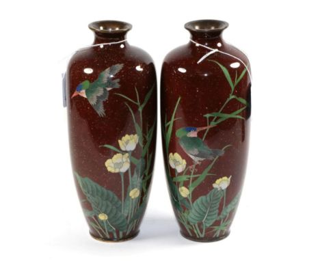 A pair of Japanese Cloisonné enamel vases, Meiji period, of baluster form, decorated with kingfishers amongst foliage on a br