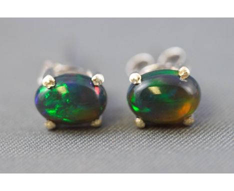 A white metal single stone pair of stud earrings. Each set with an oval cabochon cut black welo opal. Post and scroll fitting