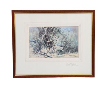 David Shepherd (1931 - 2017) A depiction of a lesser kudu antelope with her young feeding amongst the undergrowth, print, sig