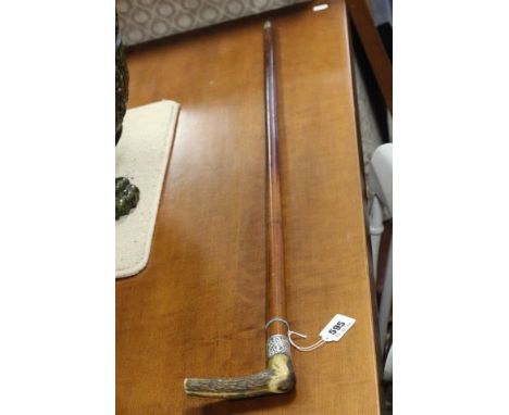 Malacca Shafted Walking Stick with Silver band and Horn Handle