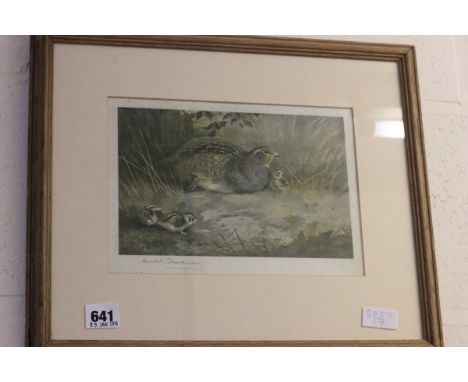 Framed and Glazed Coloured Print of an English Partridge signed in pencil Archibald Thorburn