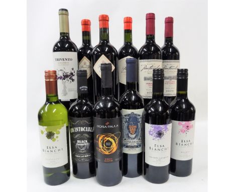 Argentinian Red Wine12 bottles  Pascual Toso Selected Vines Cabernet Sauvignon 2018; Pascual Toso Alta Malbec 2018; Pascual T