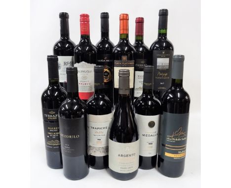 Argentinian Red Wine12 bottles  R&amp;B Single Vineyard Malbec 2017; Finca Flichman Reserva Malbec 2018; Finca Flichman Paisa