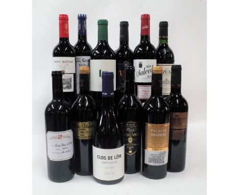 Spanish Red Wine12 bottles  Baron de Ley Rioja Gran Reserva 2013; Palacio de Invierno Rioja Reserva 2016; Finca Vidales Reser