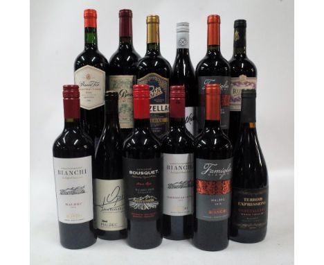 Argentinian Red Wine12 bottles  Enzo Bianchi Gran Malbec 2017; Pascual Toso Selected Vines Malbec 2018; Bianchi Malbec 2019; 