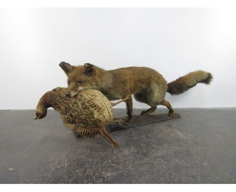 Vintage taxidermy red fox with grouse. 120cms long. 