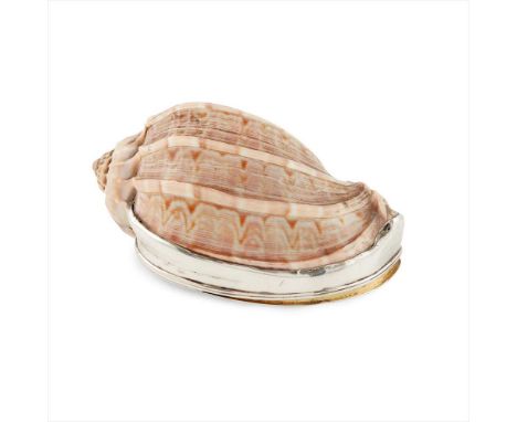 A sea shell snuff box the mounts unmarked, shaped to the shell opening, concealed hinge, gilt interior (Dimensions: Overall l