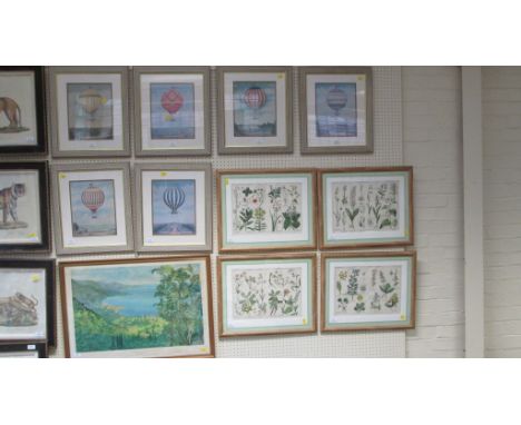 A set of six reproduction ballooning prints, four botanical prints and a print of Menton after Sir Winston Churchill