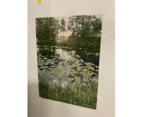 Graham Evernden - Water Lillies - A signed etching No 104/200 