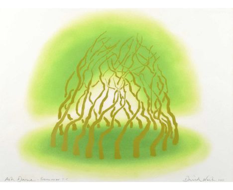 David Nash R.A. (British 1945-) "Ash Dome - Summer" Signed, titled and dated 2021, marked T.P. (Trial Proof), stencil print i