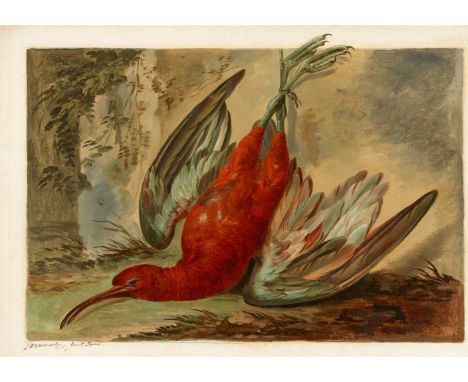 Jacob Xavier Vermoelen, Eine tote SchnepfeÖl auf Papier. 39,5 x 55 cm.Signiert unten links: J. X. Vermoelen fecit Roma.Proven