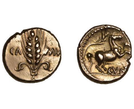 British Iron Age, CATUVELLAUNI, Cunobelin (AD 8-41), Stater, Class 7a [Classic A, Scroll Stem type], ca mv divided by ear of 