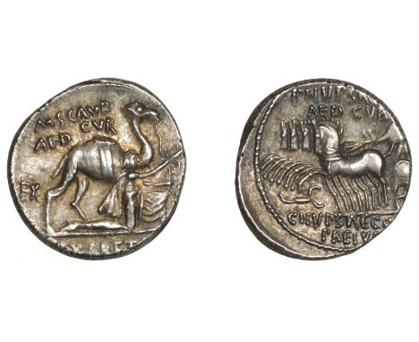 Marcus Aemilius Scaurus and Publius Plautius Hypsaeus, Denarius, c. 58, King Aretas kneeling right beside a camel, holding ol